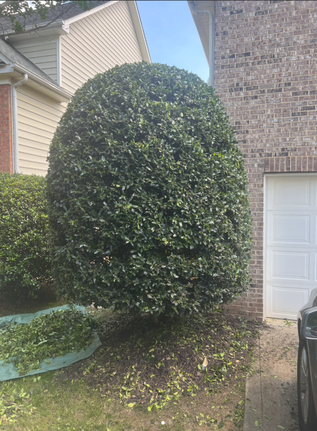 Precision trimming detail